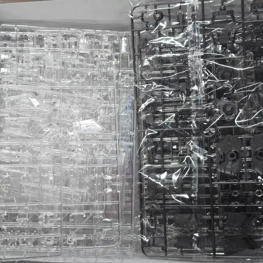 [BUNJANG] Bandai MG 1/100 Mechanical Clear Version New Gundam Model Kit / mg 뉴건담 메카니컬 비닐개봉품