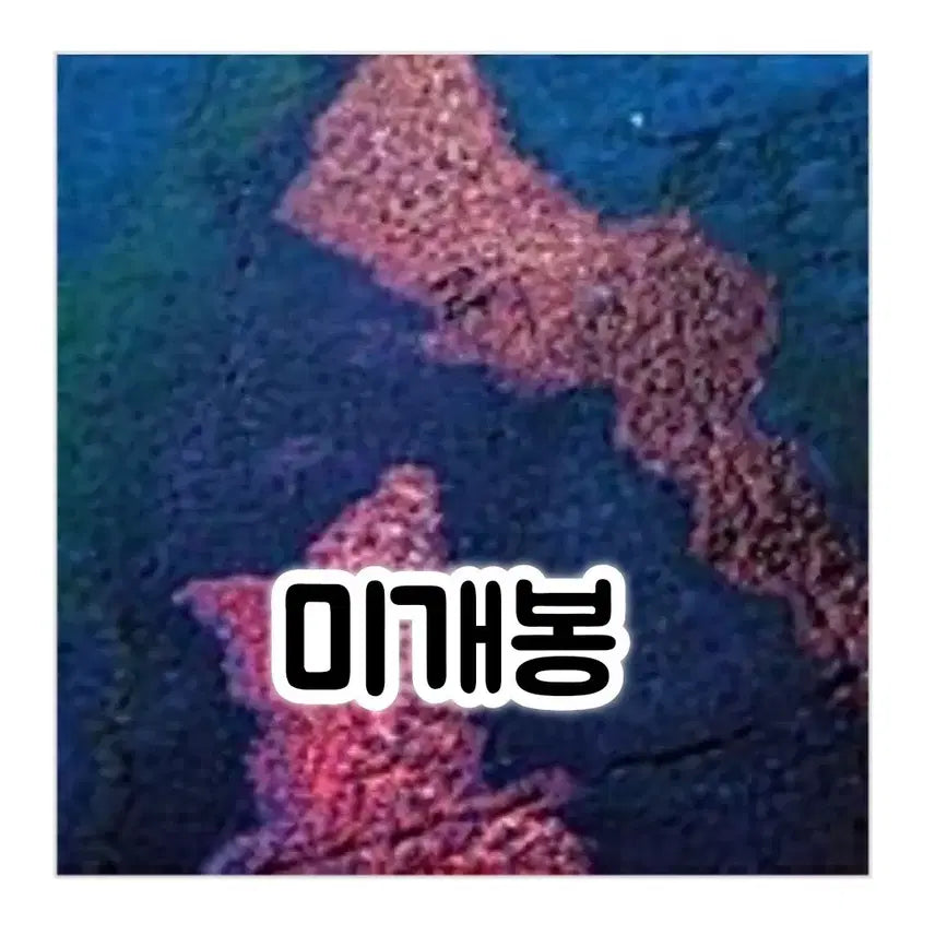 [BUNJANG] Shin Hae Gyeong &