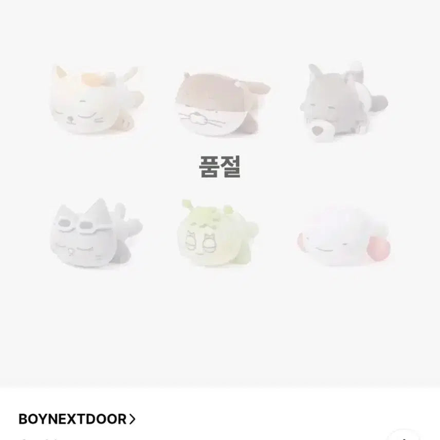[SOLD OUT] 쁘넥도 몸통쿠션 운아기 보이넥스트도어 운학