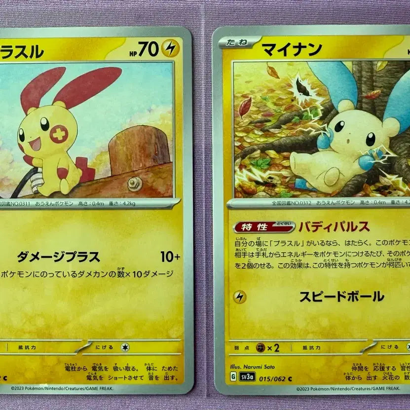 [BUNJANG] Pokemon Card Plushin + Mauzi Bundle Set (Japanese) / 포켓몬카드 플러시, 마이농 set (일판)