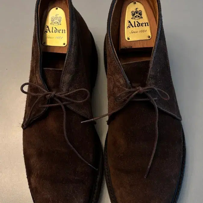 [BUNJANG] Alden 1273 Chukka Boots Dark Brown Suede / Alden 알든 1273 처카부츠 다크브라운 스웨이드