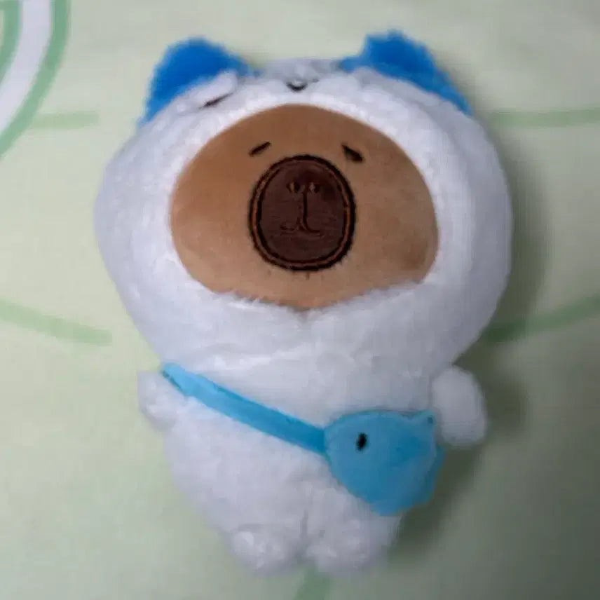 [BUNJANG] Najakgwi Hachiware Capybara Plush / 먼작귀 하치와레 카피바라 인형