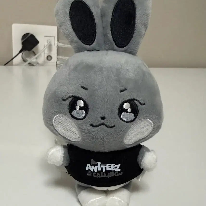 [SOLD OUT] 애니티즈 시멘티즈 떵별이 에이티즈 성화