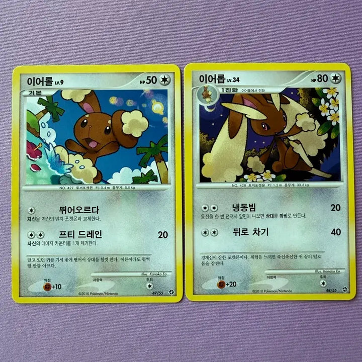 [BUNJANG] Pokemon Cards Ursaring &amp; Teddiursa Set / 포켓몬카드 이어롤, 이어롭 set