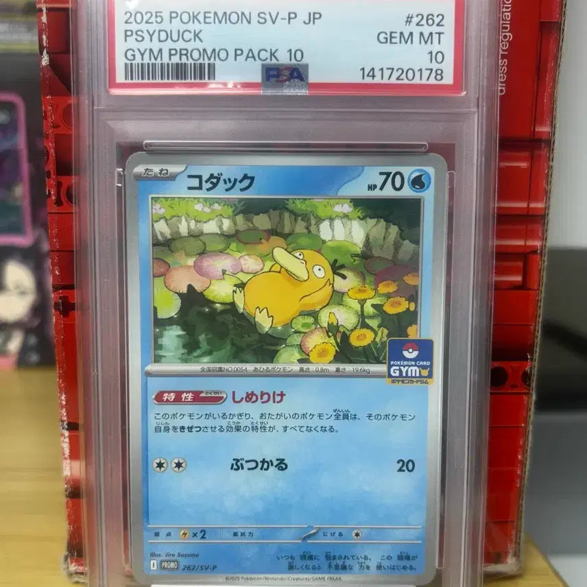 [SOLD OUT] 일판 고라파덕 짐프로모 psa10
