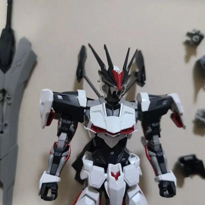 [BUNJANG] Bandai HG 1/144 Gundam Astray Omega &