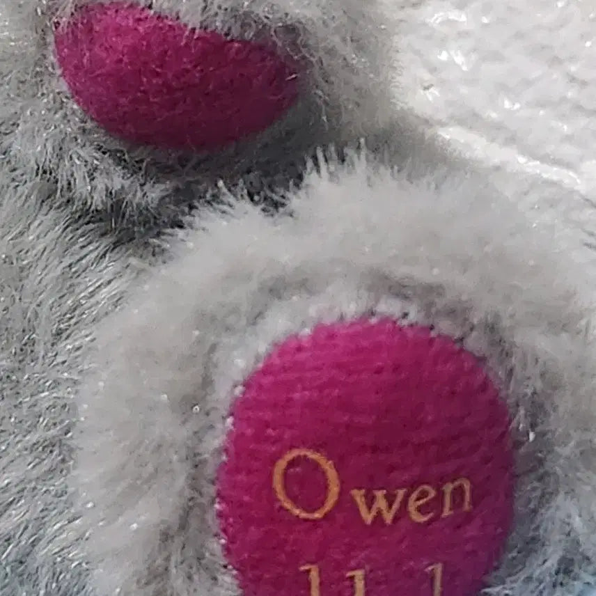 [BUNJANG] Mahoyaku Owen Birthday Plush (Plush Only) / 마법사의 약속 마호야쿠 오웬 생일 곰누이 (박스X, 누이만)