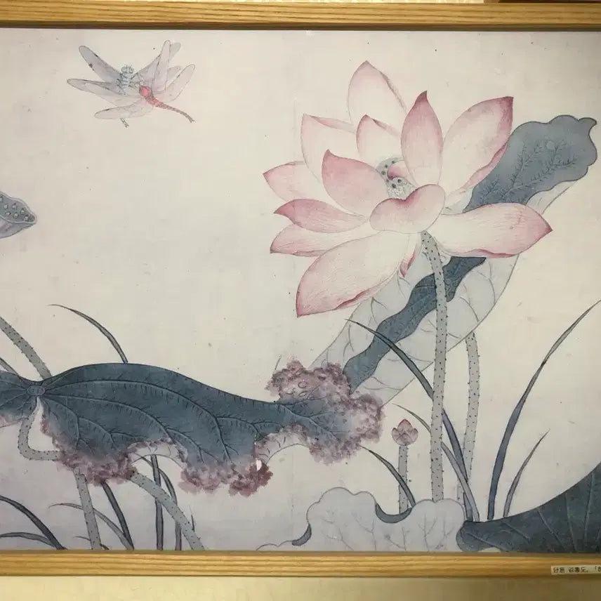 [BUNJANG] Lotus and Dragonfly Scroll Painting / 연꽃 그림 족자
