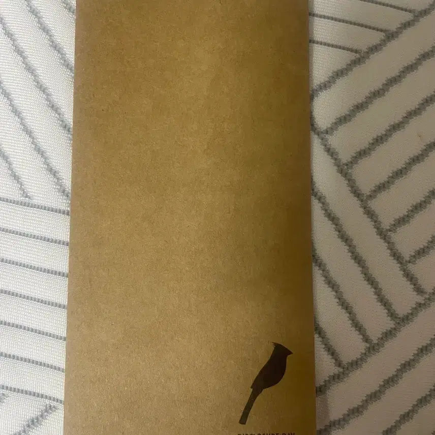 [BUNJANG] TTC Disclosure Day Sealed Album / 디스클로저 데이 TTT