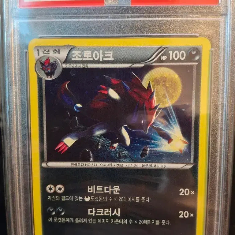 [BUNJANG] Pokemon BW Dark Rush Zoroark PSA 10 / 포켓몬카드 BW 다크러시 조로아크 PSA10