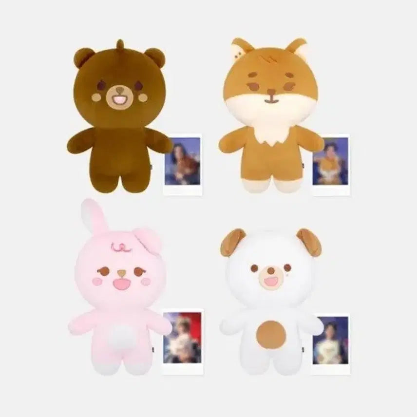 [BUNJANG] Day6 Young K Giant Petitmals Doll / 데이식스 자이언트 쁘띠멀즈 자쁘멀 필 원필 폴라로이드 양도 판매