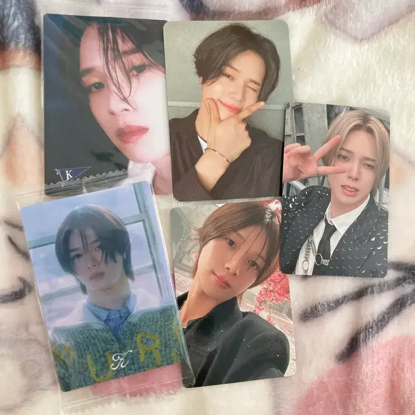 [BUNJANG] ENHYPEN K [NI-KI] Weverse Card Set / 앤팀 케이 포카 웨하스 세트