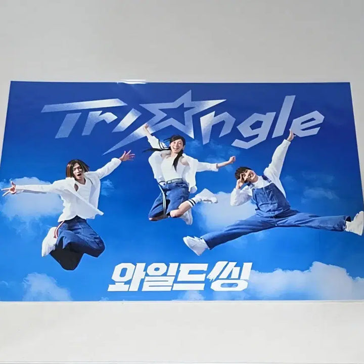 [BUNJANG] Wild Thing Lotte Cinema 3rd Week Special Triangle A3 Poster / 와일드 씽 롯데시네마 3주차 특전 트라이앵글 A3 포스터