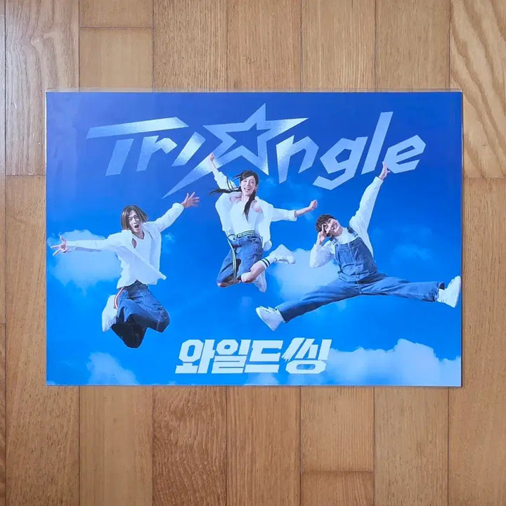 [BUNJANG] Wild Thing Lotte Cinema 3rd Week Special Triangle A3 Poster / 와일드 씽 롯데시네마 3주차 특전 트라이앵글 A3 포스터