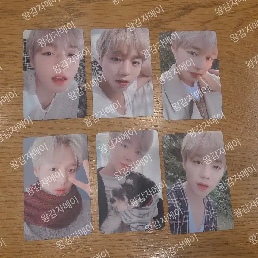 [BUNJANG] Park Jihoon 2020 Season&