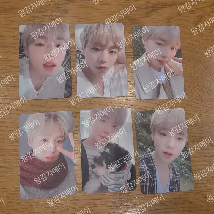 [BUNJANG] Park Jihoon 2020 Season&