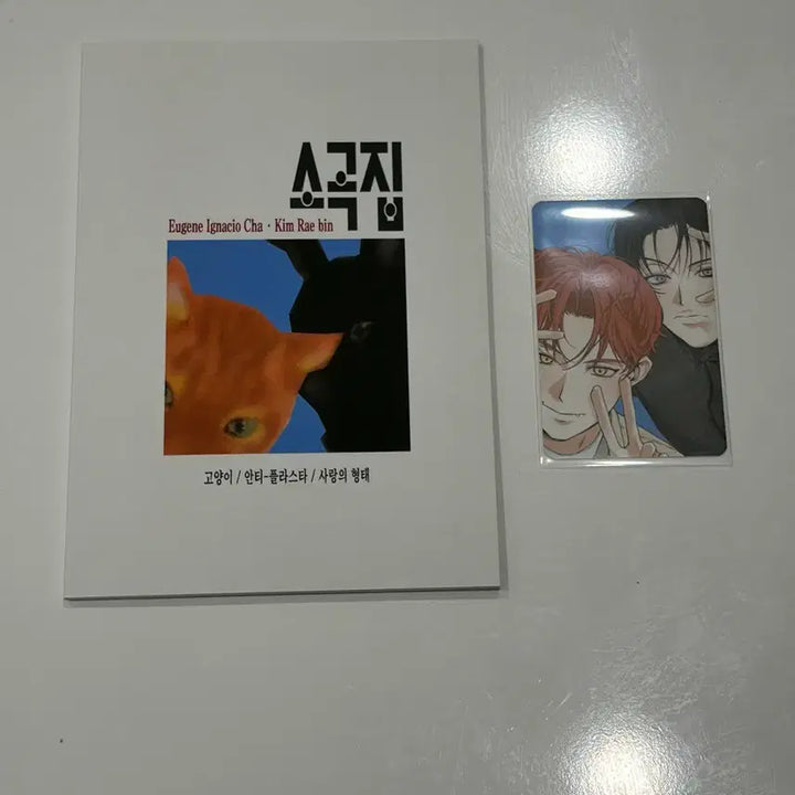 [BUNJANG] Debut or Die - Youngpip So-gok-jip / Romance Novel Acrylic Standee - Bok-eo-nim Bae Sejin, Cha Yujin / 데못죽 영핍님 소곡집 로판 아크릴 스탠드 복어님 배세진 차유진