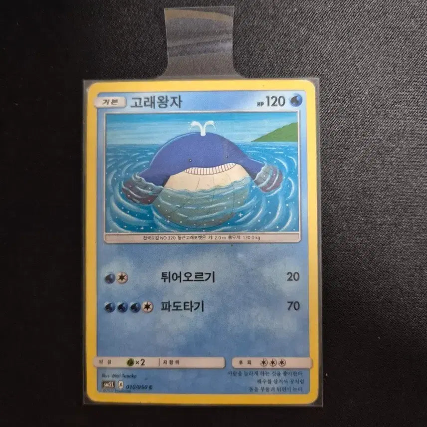 [SOLD OUT] 포켓몬 카드 고래왕자 010/050