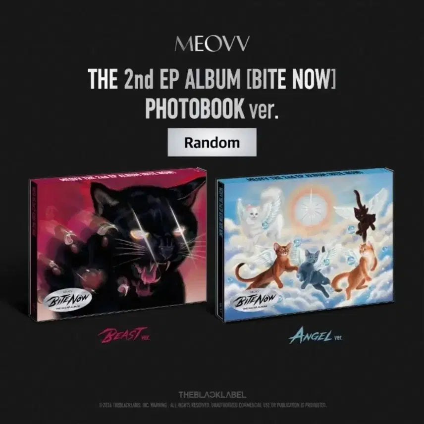[SOLD OUT] [미개봉] 미야오 띠로리 bite now 앨범