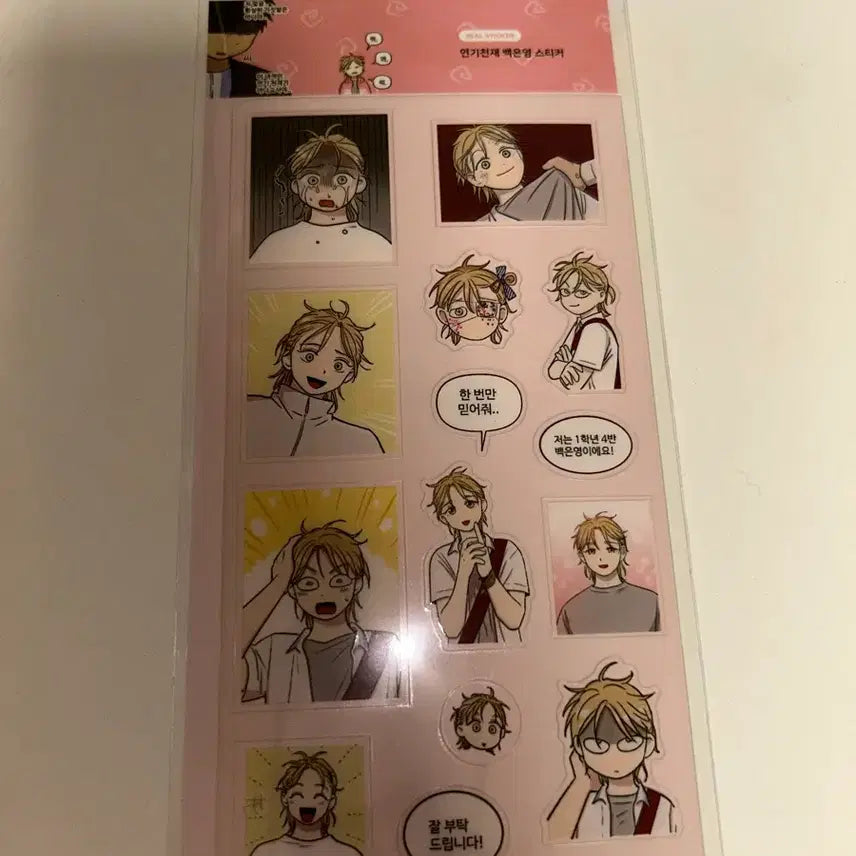 [BUNJANG] Baek Eun Young "The Great Deferrer" Sticker Set / 집이없어 팝업 연기천재 백은영 스티커