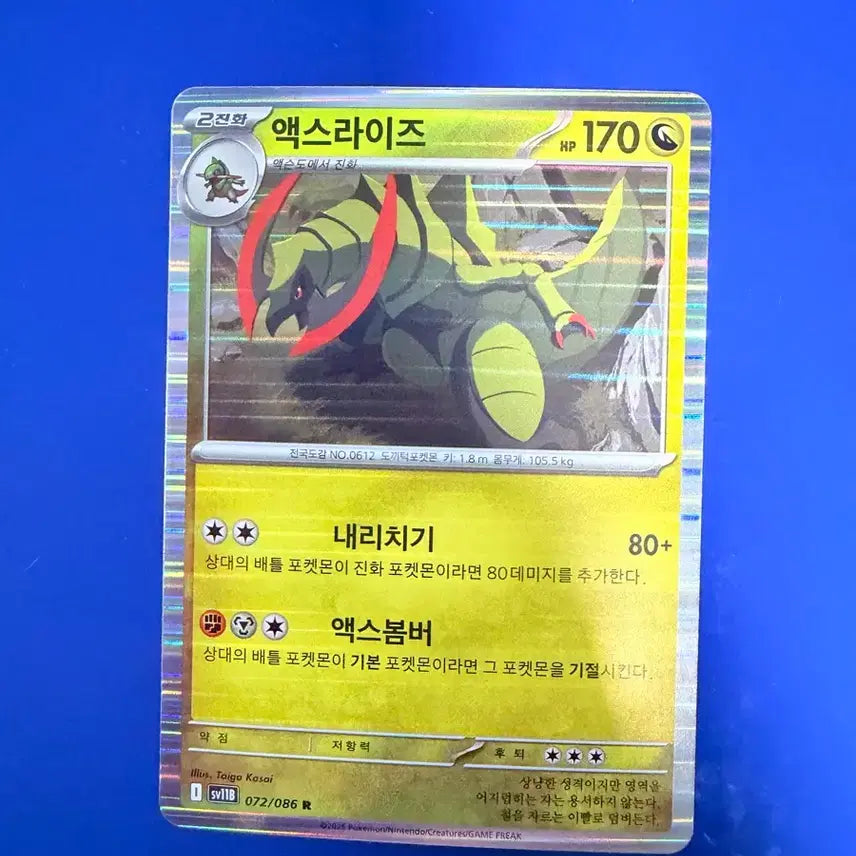 [SOLD OUT] 포켓몬카드 액스라이즈 홀로 카드