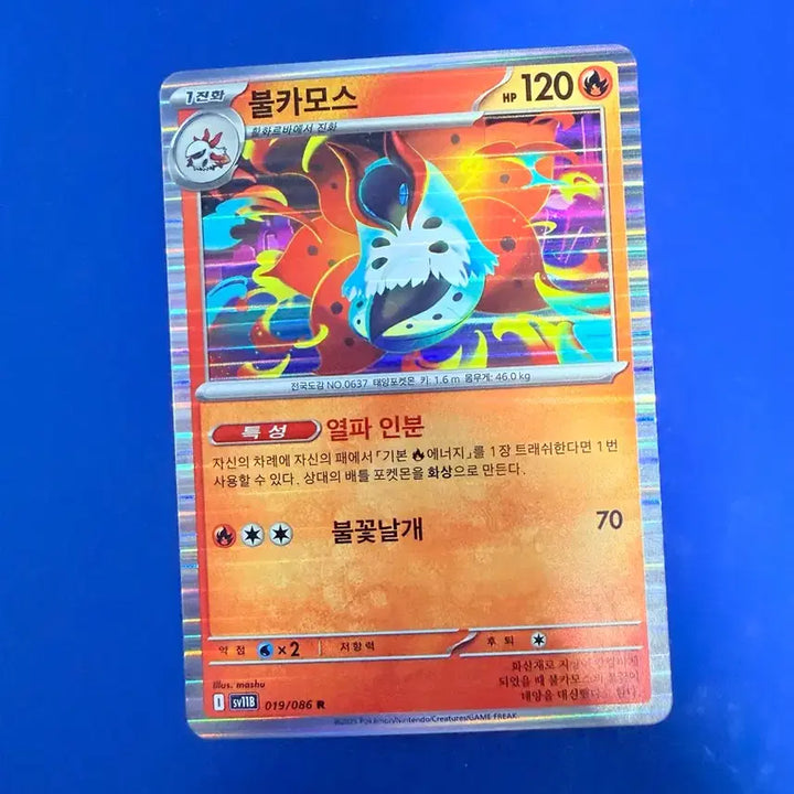 [SOLD OUT] 포켓몬카드 불카모스 홀로 카드