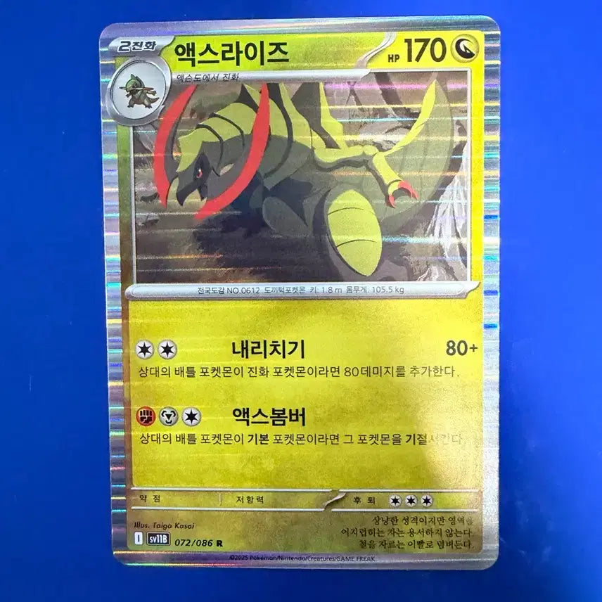 [BUNJANG] Pokemon Card Axew Holo Card / 포켓몬카드 액스라이즈 홀로 카드