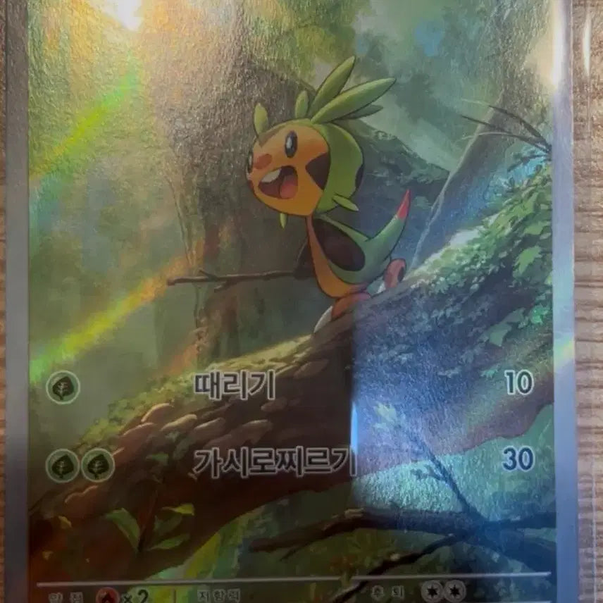[BUNJANG] Pokemon Card Sudowoodo AR 084/083 / 포켓몬 카드 도치마론 AR 084/083