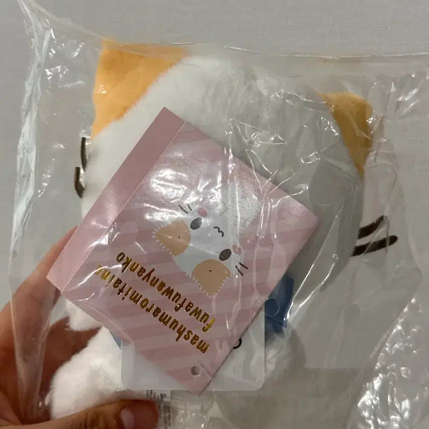 [BUNJANG] Sanrio Original Marshmallow Plush Doll / 산리오 오리지널 마슈마로 인형 누이 구루미