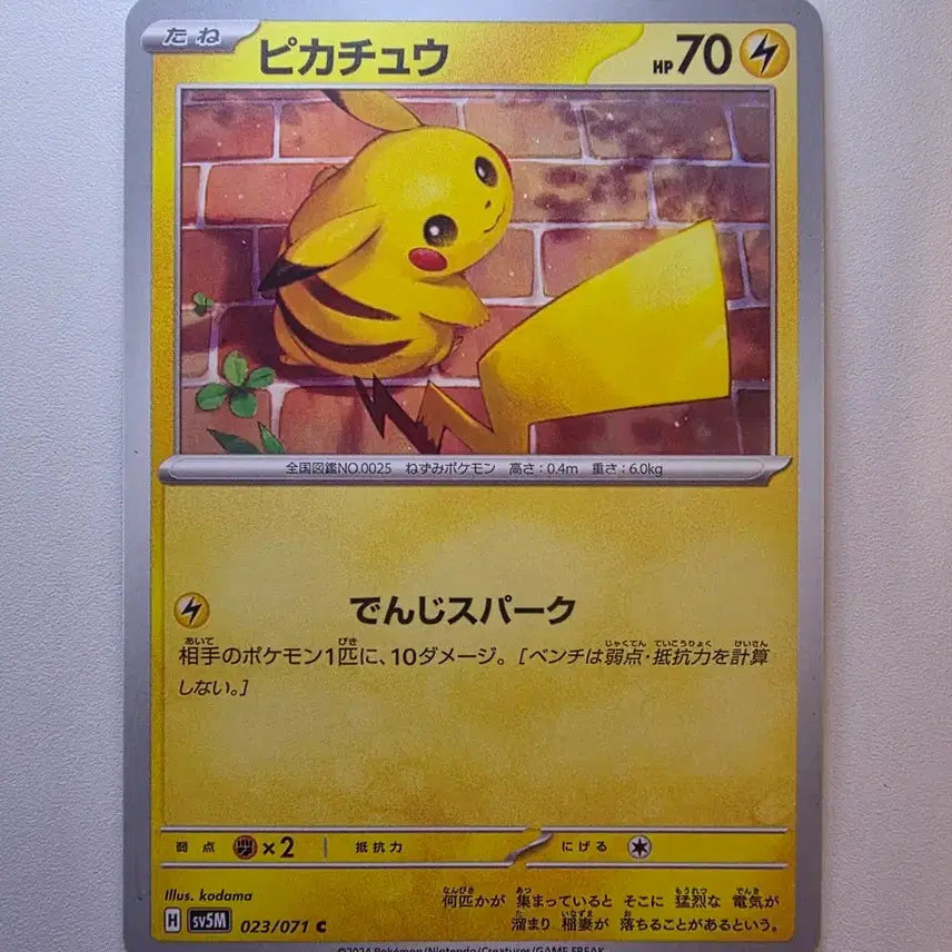 [BUNJANG] Pokemon Card Japanese Pikachu / 포켓몬카드 일판 피카츄