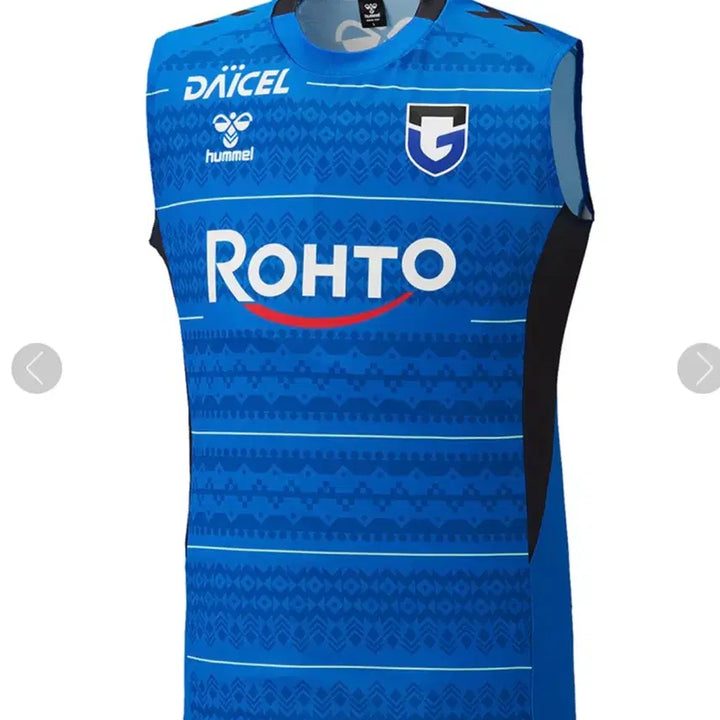 [BUNJANG] Gamba Osaka Training Tank Top / 감바오사카 트레이닝 나시