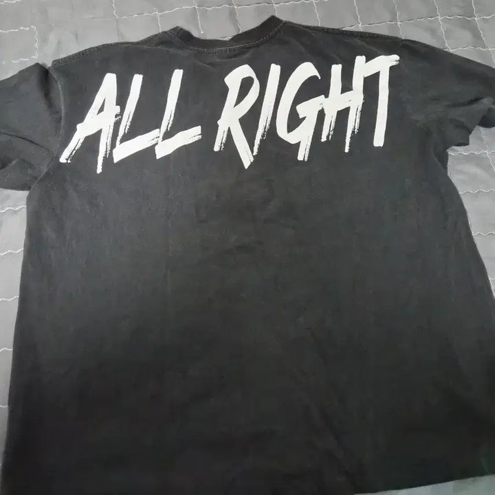 [BUNJANG] Freedom Short Sleeve T-Shirt (L) / 프리덤 반팔