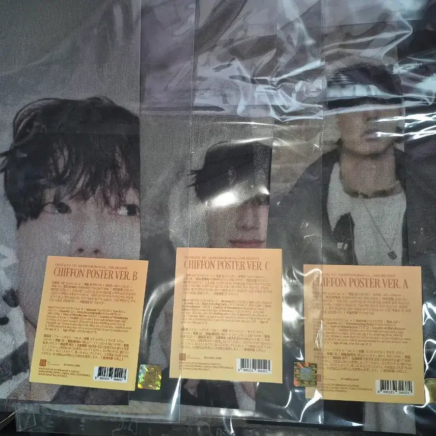 [SOLD OUT] 최립우 fredr1ck choi ARCHIVE 패브릭 쉬폰 포스터 세트