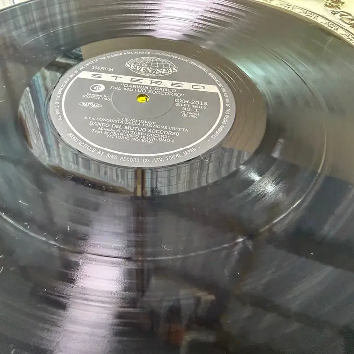 [BUNJANG] Banco Del Mutuo Soccorso Darwin! Japanese Original LP / (일본 LP) Banco Del Mutuo Soccorso - 일본 초반