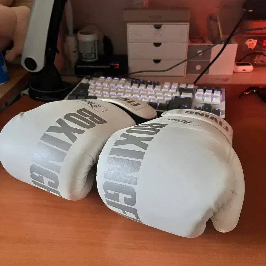 [BUNJANG] Boxing Gloves / 복싱 글러브
