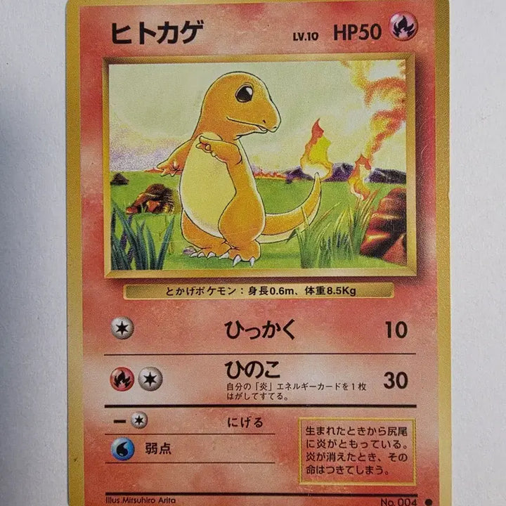 [SOLD OUT] 포켓몬카드 1996 초기 파이리