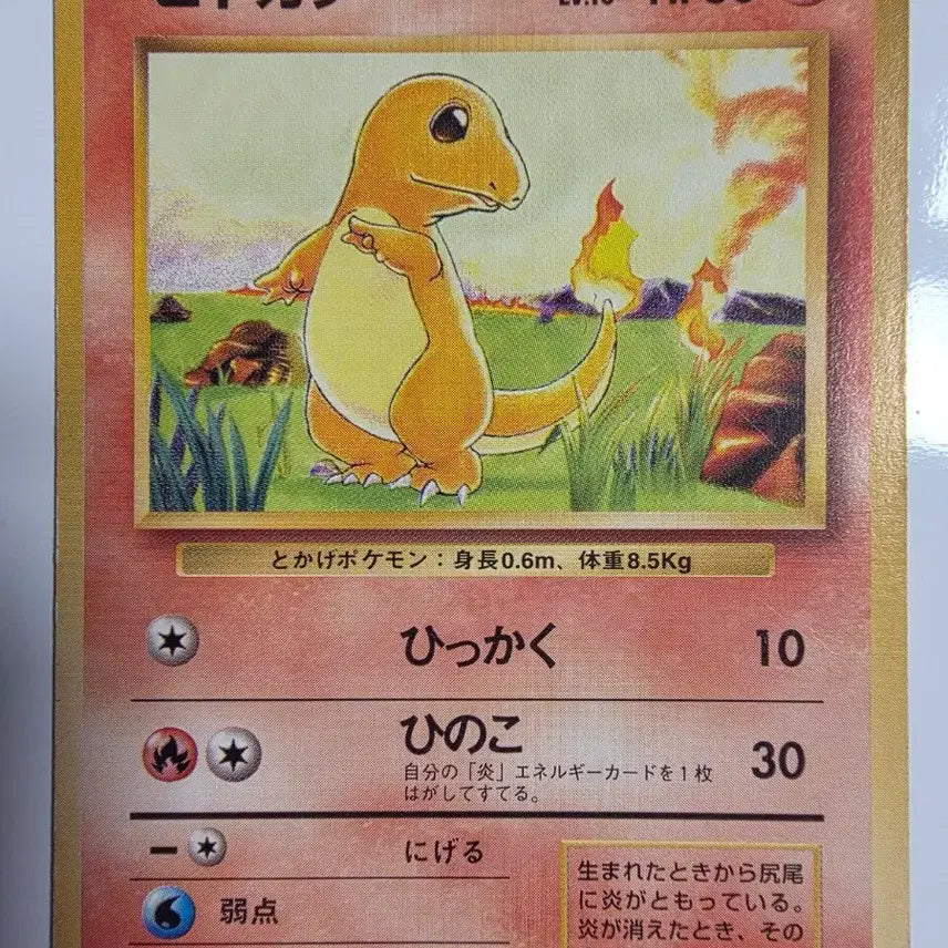 [BUNJANG] Pokemon Card Charmander (1996) / 포켓몬카드 1996 초기 파이리
