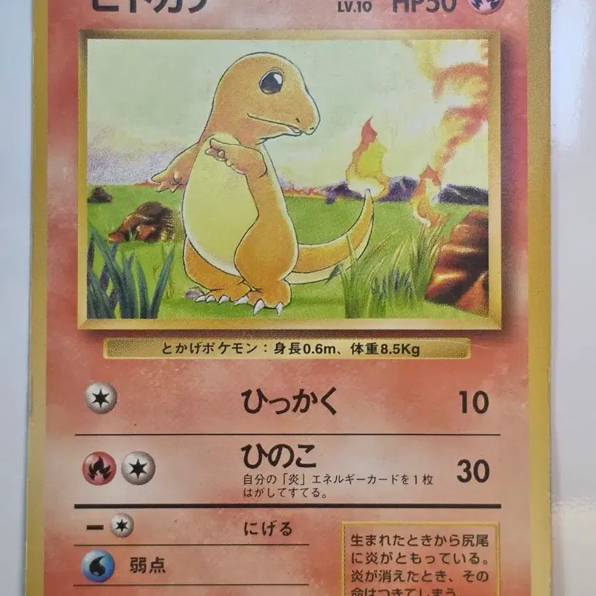 [BUNJANG] Pokemon Card Charmander (1996) / 포켓몬카드 1996 초기 파이리