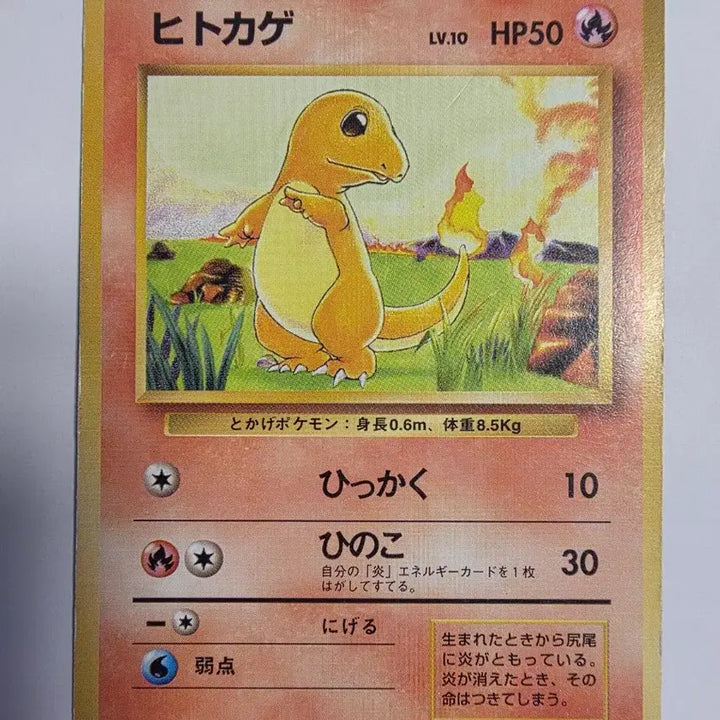 [BUNJANG] Pokemon Card Charmander 1996 First Edition / 포켓몬카드 1996 초기 파이리