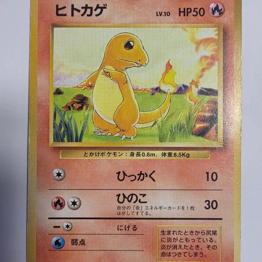 [BUNJANG] Pokemon Card Charmander 1996 First Edition / 포켓몬카드 1996 초기 파이리