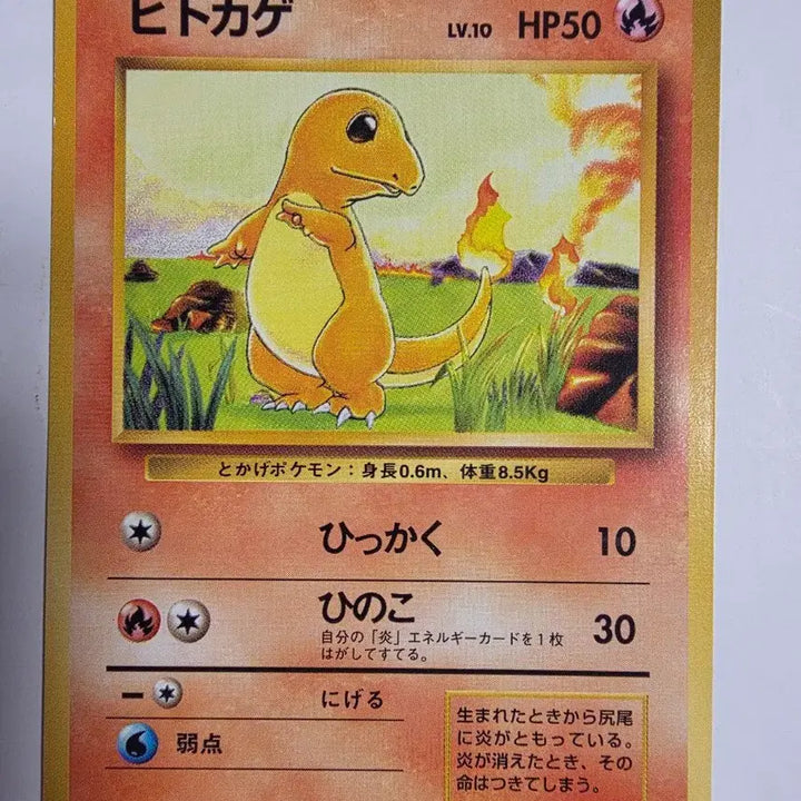 [BUNJANG] Pokemon Card Charmander 1996 First Edition / 포켓몬카드 1996 초기 파이리