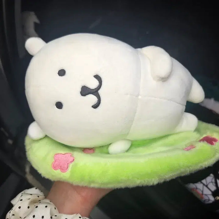[BUNJANG] BePlot "Nongdamgom" Dehumidifier Doll / 정품 비플랏 농담곰 제습인형