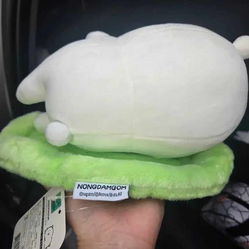 [BUNJANG] BePlot "Nongdamgom" Dehumidifier Doll / 정품 비플랏 농담곰 제습인형