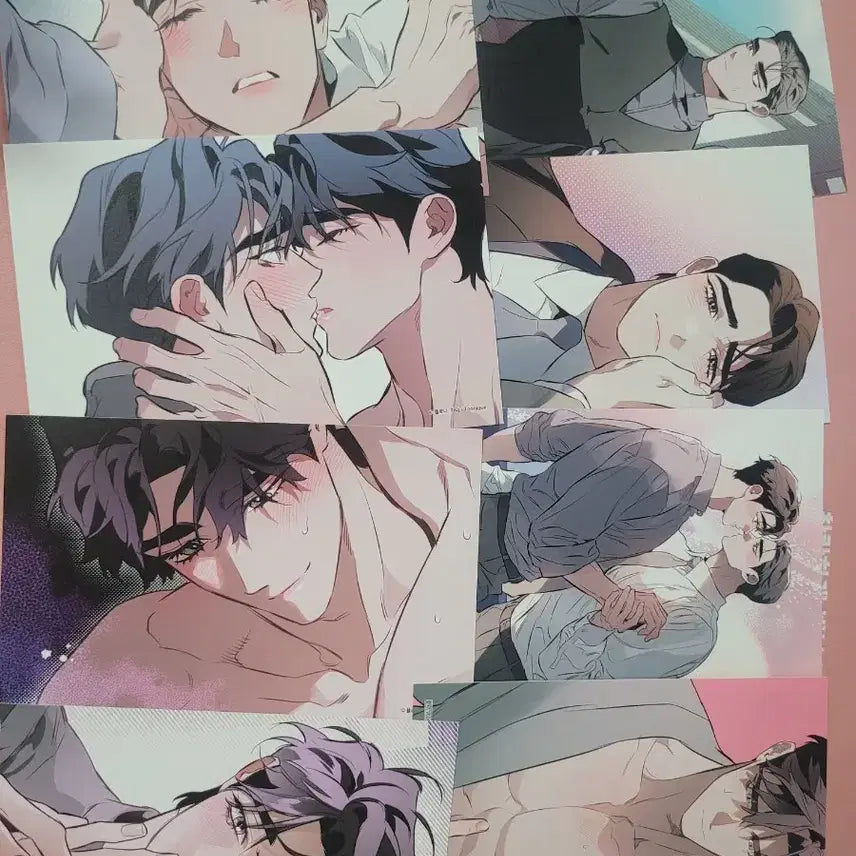 [SOLD OUT] 투니크 디티알 DTR 엽서8종