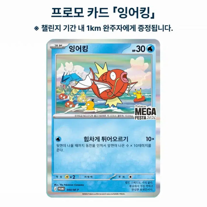 [SOLD OUT] 포켓몬 잉어킹 프로모 카드