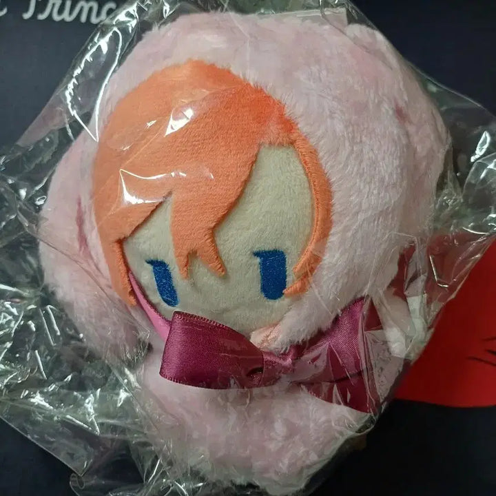 [BUNJANG] Bungo Stray Dogs Chuuya Nakahara Plush Doll / 문스독 나카하라 츄야 인형