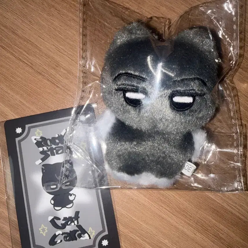 [BUNJANG] ENHYPEN Jay Jjongkkyun Doll / 엔하이픈 제이 냥쫑군