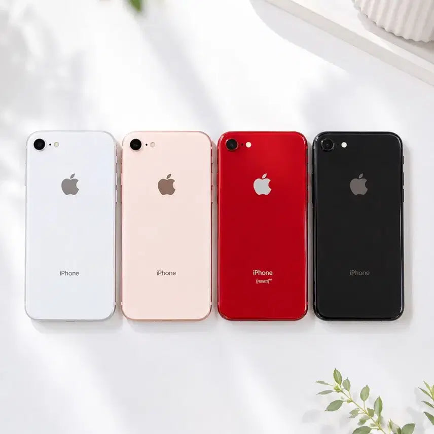 [BUNJANG] Apple iPhone 8 64GB - Silver, Gold, Red, Black / (당일방송) A급 아이폰8 64GB 실버 골드 레드 블랙