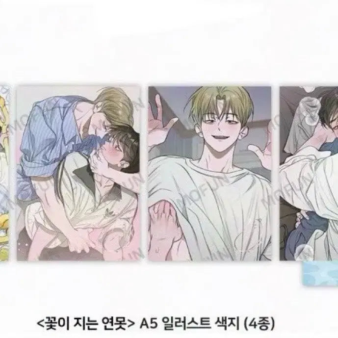 [BUNJANG] Flower Pond A5 Illustration Shikishi 4-Piece Set / 모펀 꽃이 지는 연못 A5 일러스트 색지 4종 세트