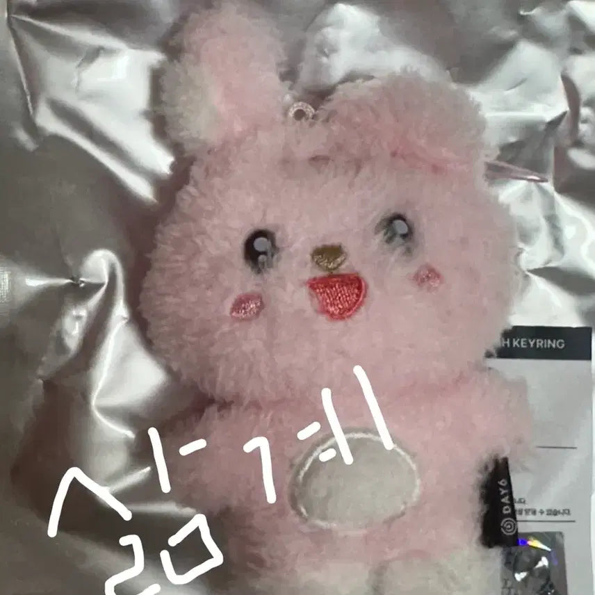[SOLD OUT] 데이식스 데니멀즈 시크릿 미니 플러시 키링 원필 인형